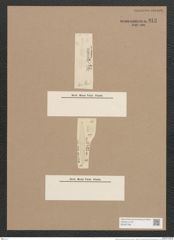 Navicula acus Cleve (de-Toni-Nr.: Genus 1, Species 413) Zeichnungen Sammlung Grunow Nr. 919 (NHMW-BOT-W0367398)